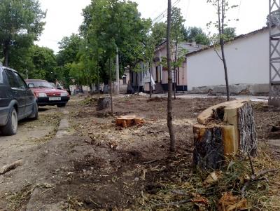 Прикрепленное изображение: уроды корчевать не будут 01.jpg